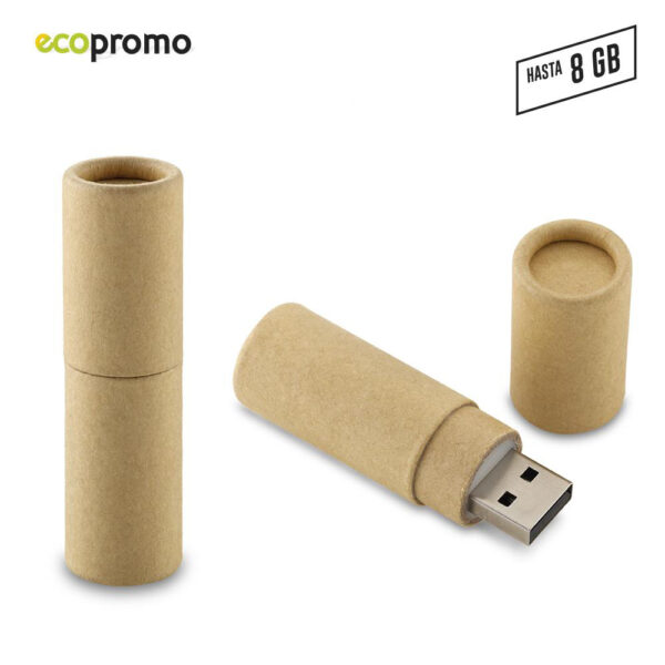 US-41 Memoria USB ECO