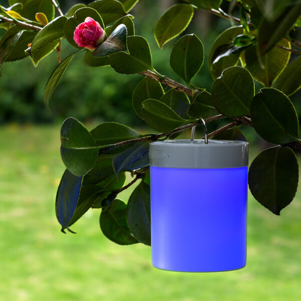 TE-276 Speaker Bluetooth Rainbow - Imagen 4