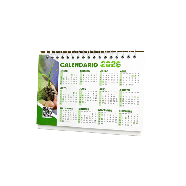 Calendario Mediano De 10 hojas  16.5 x 10.5 Cms - Imagen 2